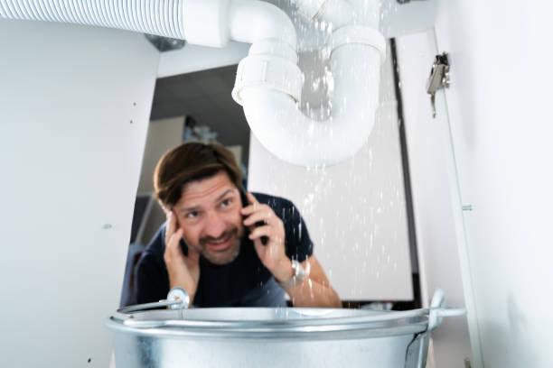 Best Local Plumber Services  in Diablo Grande, CA