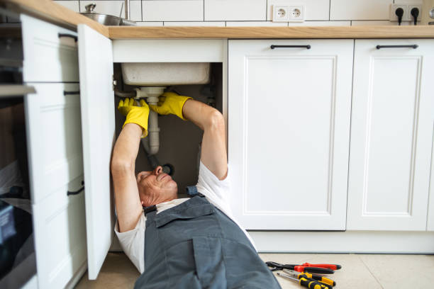 Best Plumbing Services Near Me  in Diablo Grande, CA